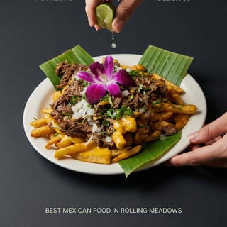 Birria fries